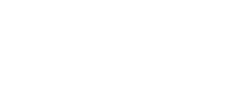 The Reverse Mortgage Center L.L.C.